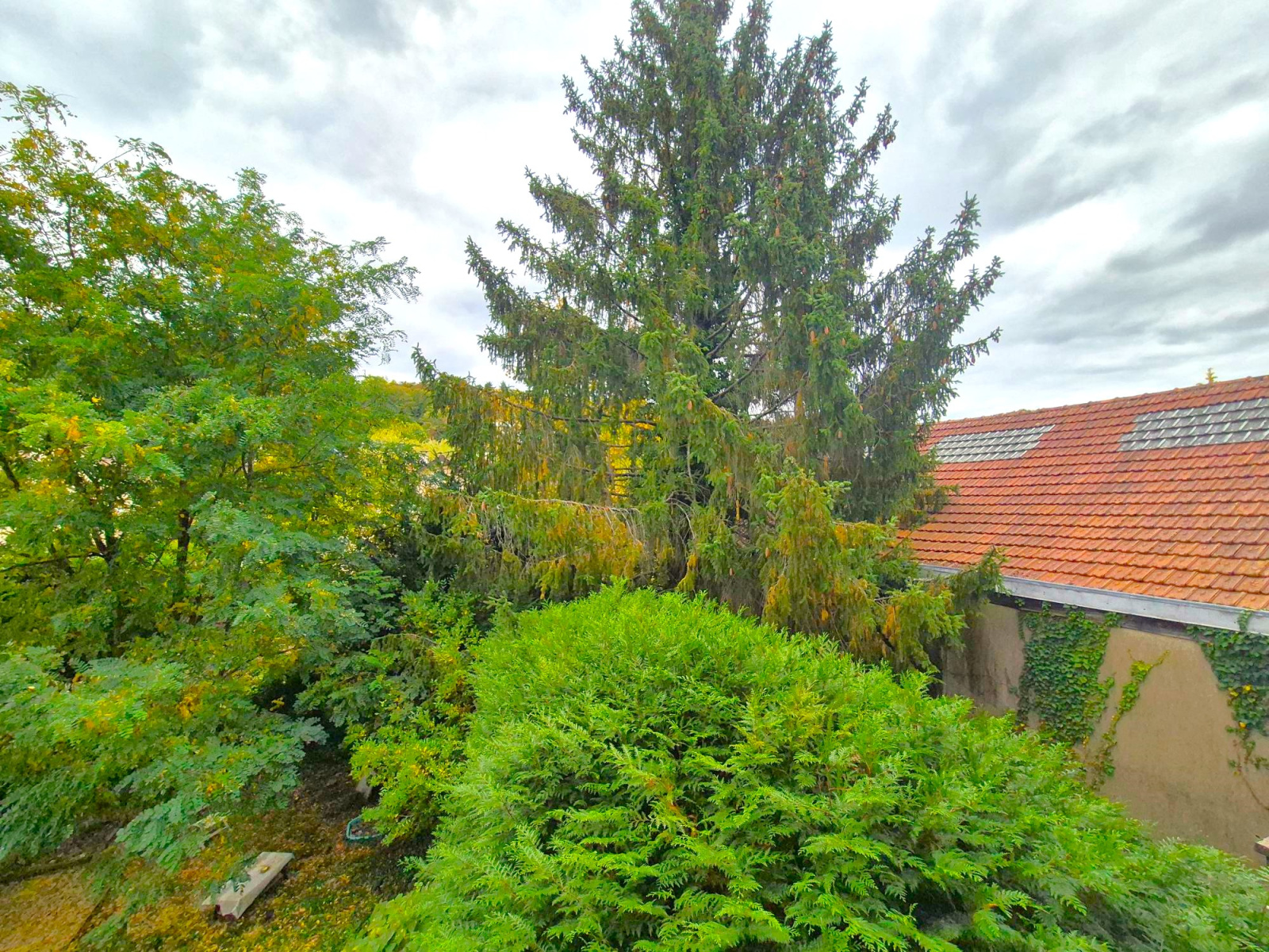 Image_, Appartement, Jouy-en-Josas, ref :469-25