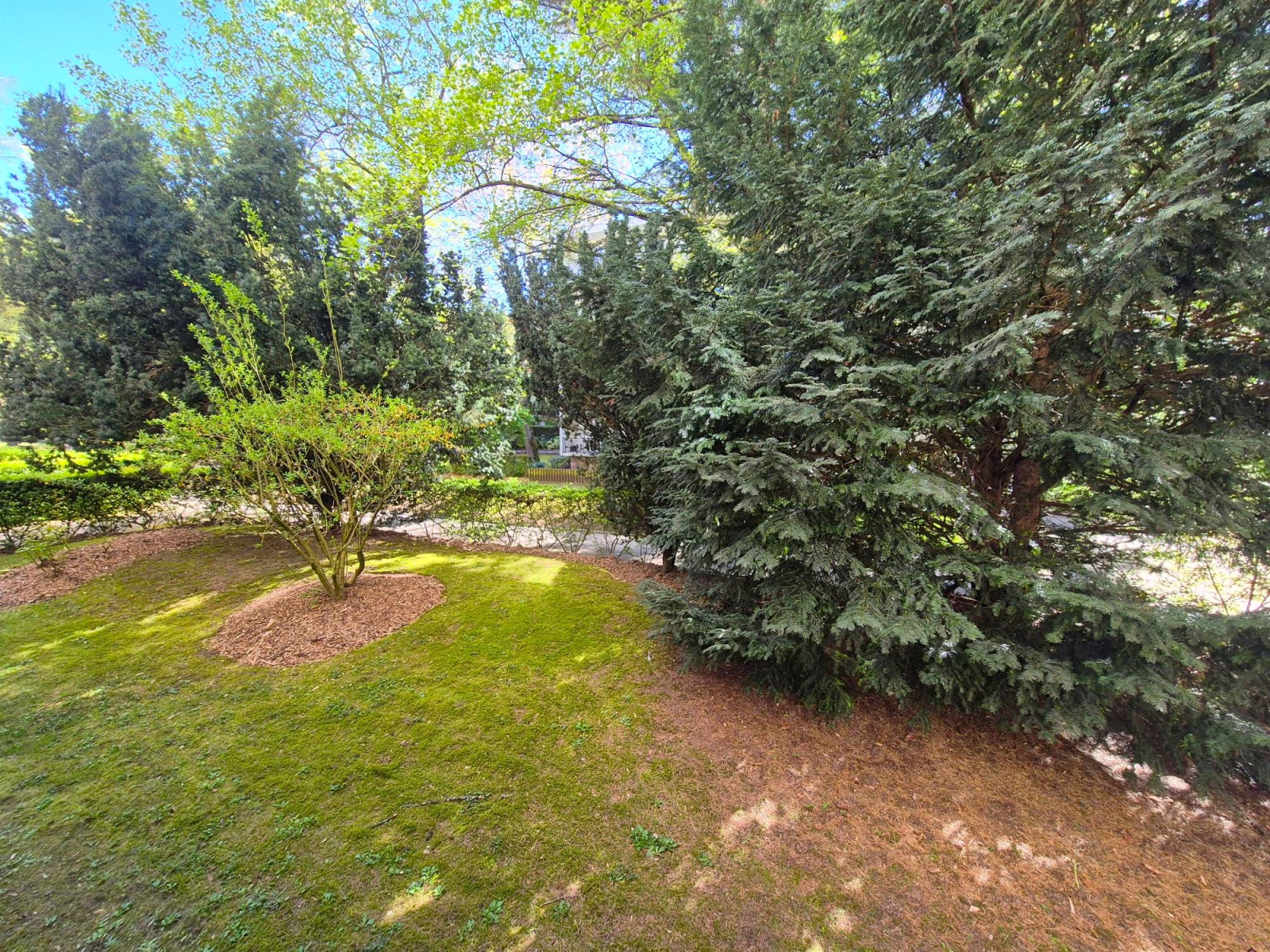 Image_, Appartement, Vélizy-Villacoublay, ref :479-26